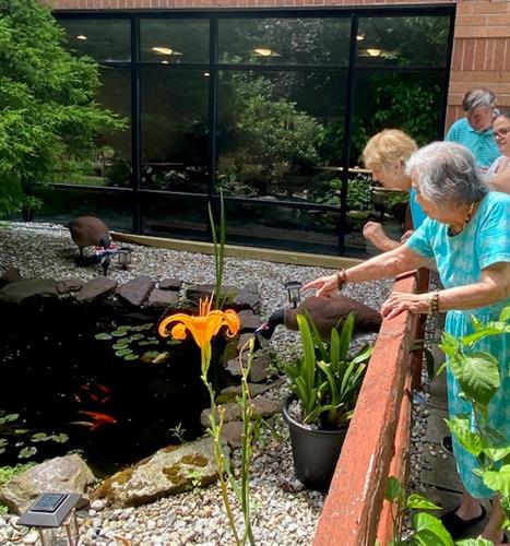 Koi Pond