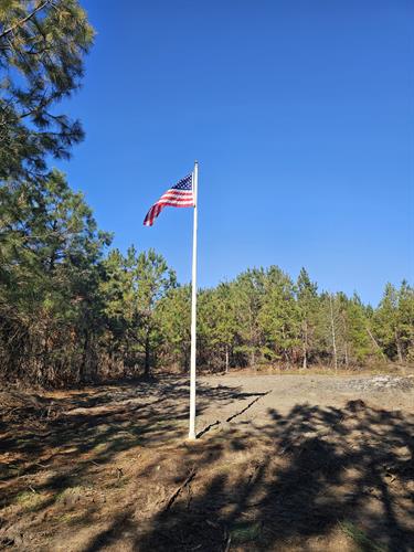 Gallery Image 20241222_120131(1).jpg