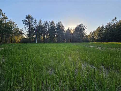 Gallery Image 20250414_190527.jpg