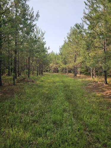 Gallery Image 20250531_095642(1).jpg