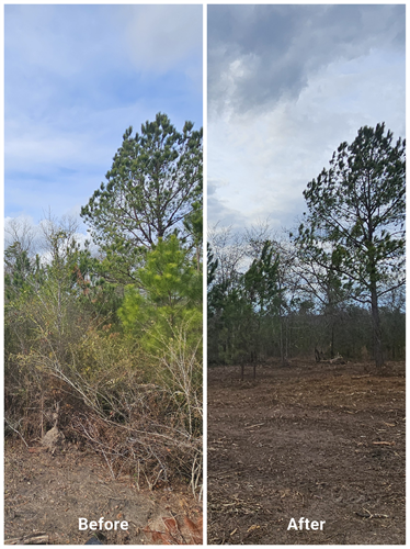 Gallery Image before_and_after.png