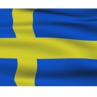 Vote in the Swedish General Election - Dallas