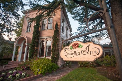 Welcome to the Camellia Inn!