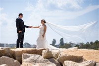 LiFi Inc. and Life In Focus Announce Strategic Partnership and Creative Leadership Expansion