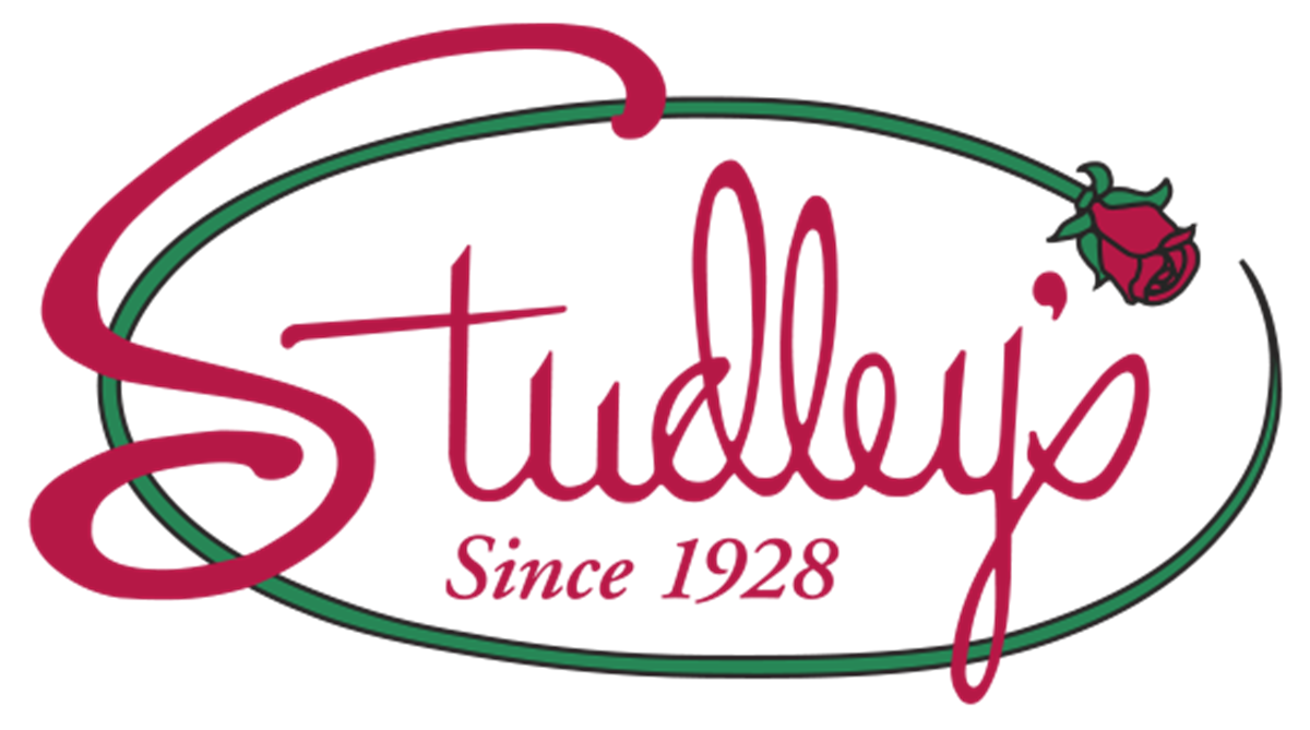 FOR IMMEDIATE RELEASE: STUDLEY's HIGHLIGHTED IN GOOGLE’S ECONOMIC