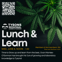 Lunch and Learn: Cannabis