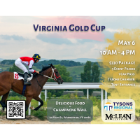 Virginia Gold Cup 2023