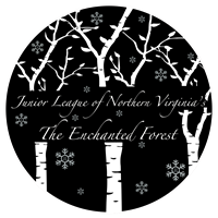 JLNV Winter fundraiser Online Auction