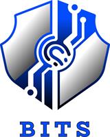 Bourget Information Technology Systems LLC 