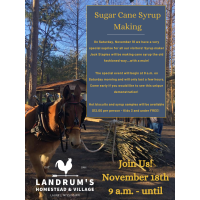 Sugar Cane Syrup Making at Landrum's Homestead and Village