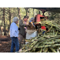 Sugar Cane Syrup Making at Landrum's Homestead and Village