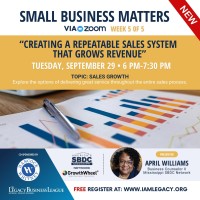 Creating a Repeatable Sales System That Grows Revenue