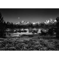 LRMA Exhibition - American the Beautiful
