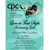 Center for Pregnancy Choices Love at First Sight Fundraising Gala