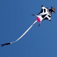 White Water Mesa Fun Kite Flying Picnic