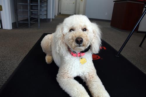 Penny Rose, Office Relations Manager