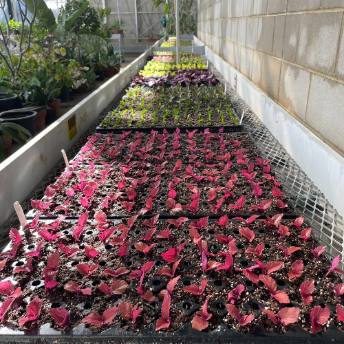 Gallery Image 2(1).png