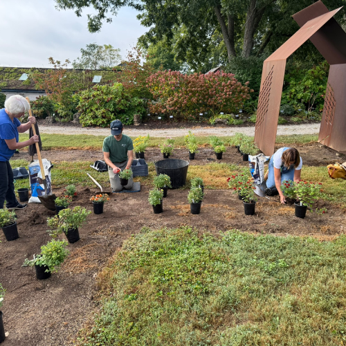 Gallery Image 3(1).png