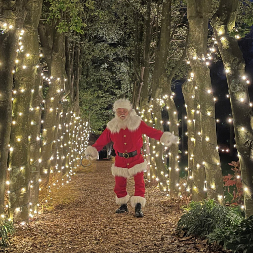 Gallery Image 4(1).png