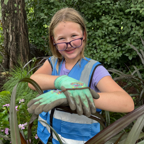 Gallery Image 5(1).png