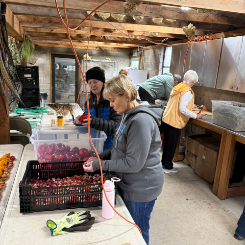 Gallery Image 7(1).png