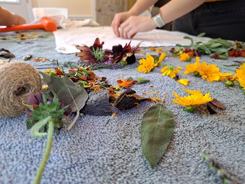 horticultural therapy techniques