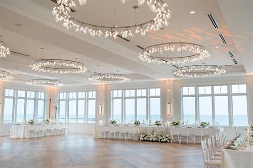 Gallery Image Roro-sneak-31.jpg