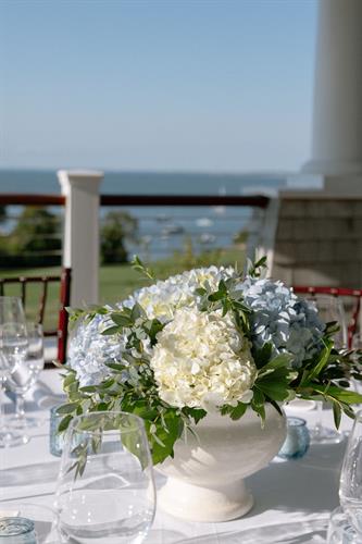 Gallery Image SNEAKS-99.JPG