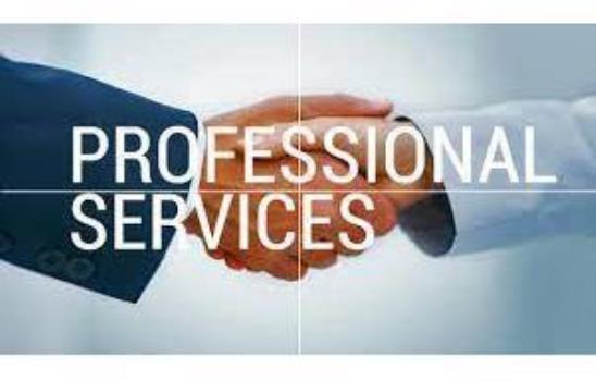Business & Professional Services