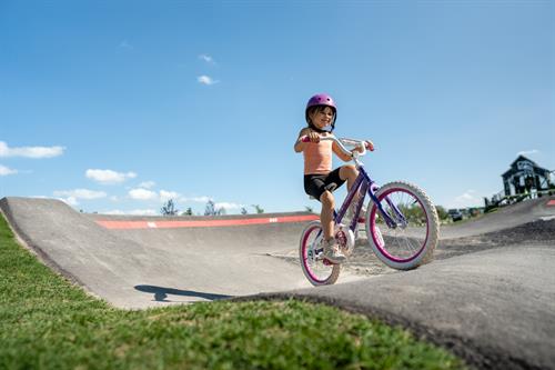 Wildflower Bike Pump Track