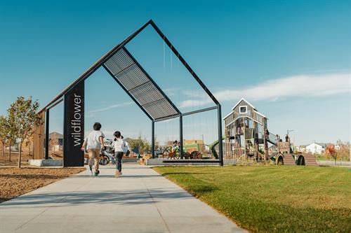 Wildflower Community Entry