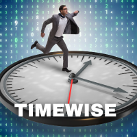 Member Event: TIMEWISE Workshop