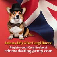 Member Event: Corgi Classic