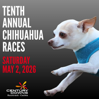 Member Event: 10th Annual Century Downs Chihuahua Races