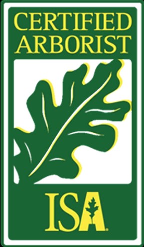 ISA Certified Arborist, PR4600A