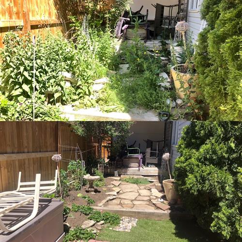 Gallery Image split_garden_terry.jpg