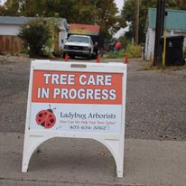 Gallery Image tree_care_in_progress_sign.jpg