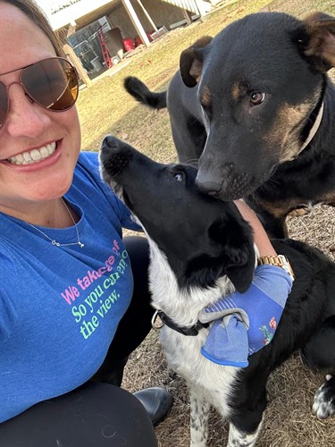 Danica with some happy pups (clients)