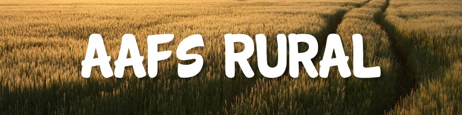 Autism Aspergers Friendship Society (AAFS)