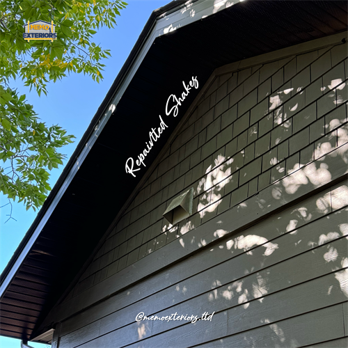 Gallery Image IMG_0333.png