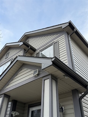 Gutters, eavestrough, fascia