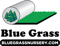 Member Event: Fall Bouquet, Garden Harvest