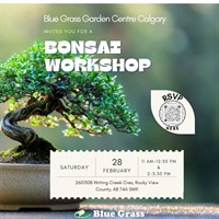 Member Event: Bonsai Workshop