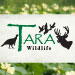 Mississippi River Nature Weekend - Tara Wildlife