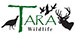 Outdoor Summer Youth Camp at Tara Wildlife