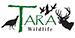 Archery Camp - Tara Wildlife