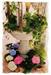 Creating Floral Designs from Your Plant Materials