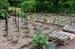 Planting Day at the Vicksburg Community Garden