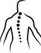 Structure & Function Chiropractic & Rehab, PLC