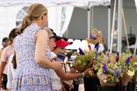 Traverse City Horse Shows Launches Hilltop Market During Great Lakes Equestrian Festival